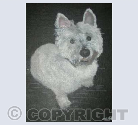 Wily Westie