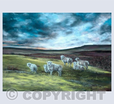 Dartmoor Idyll