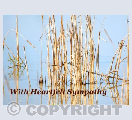 With Loving Thoughts