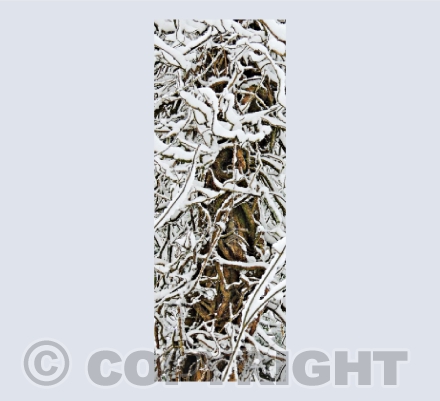 Snow Abstract
