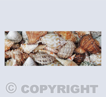 Stories From the Sea