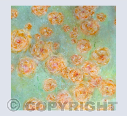 Give Me Roses, Anytime