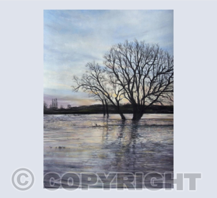 The Floods