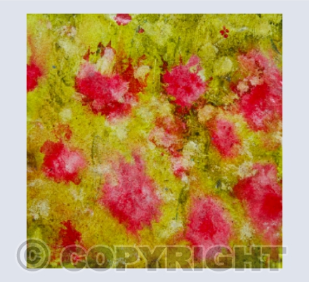 Spring Meadow