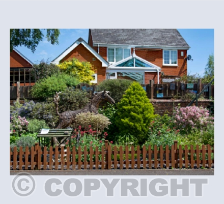 John's Summer Garden