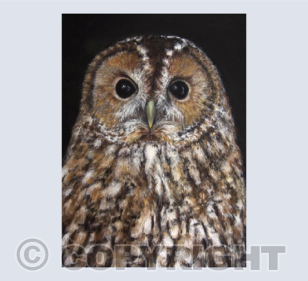 That Look!