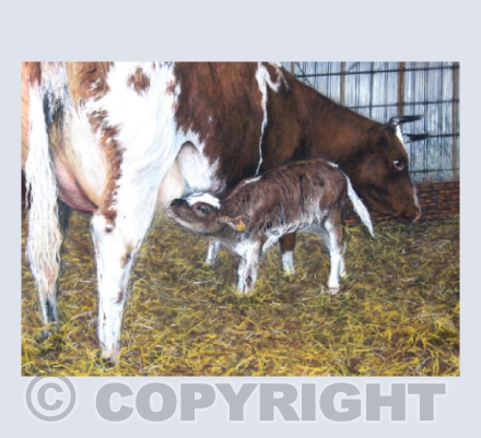 Motherhood