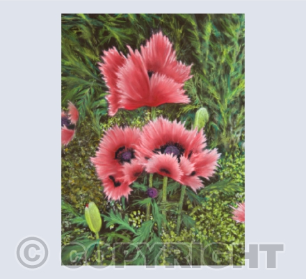 Bursting With Colour