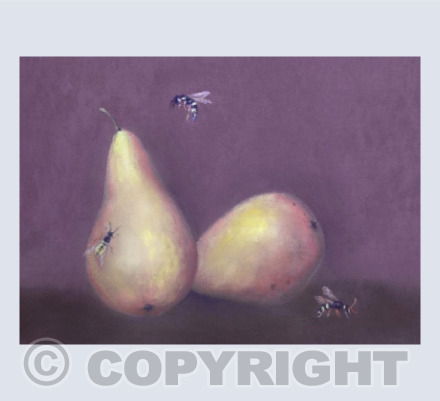 The Sweetness of Pears
