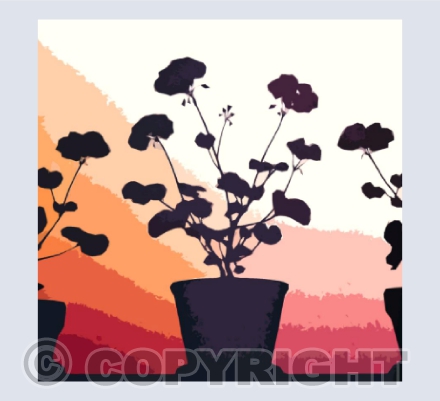 Floral Silhouettes