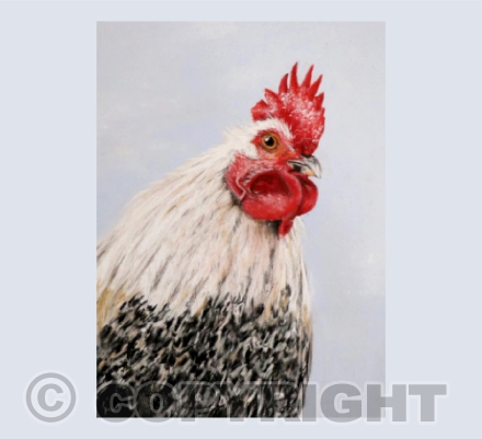 Just Wanted to Say Hello