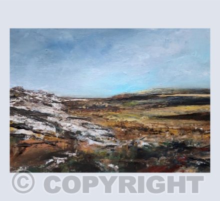 Vast Dartmoor
