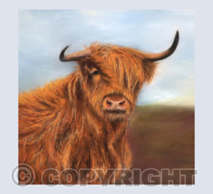 The Cool Highlander