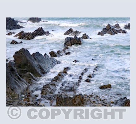 Wild Hartland Quay