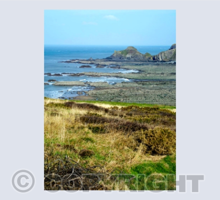 Best View From Hartland Quay