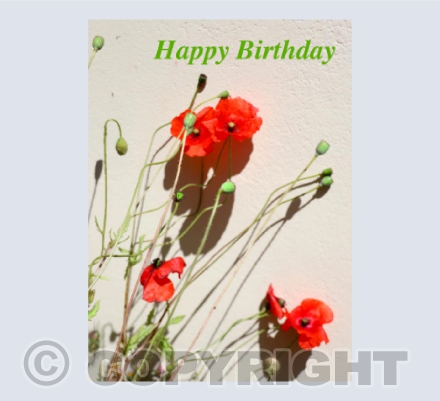 The Wild Birthday Bouquet
