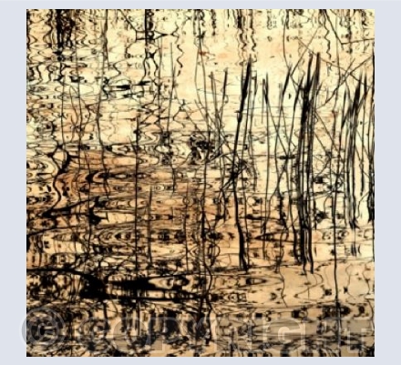 When Water Becomes Art