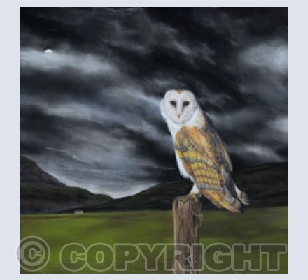 On A Dark, Dark Night