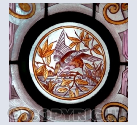 Bird In A Circle
