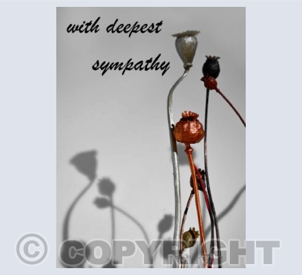 Sympathy