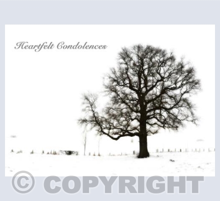 The Tree Of Life