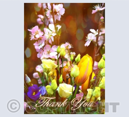 Flowers For You