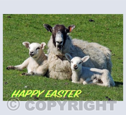 Aren't They Cute, My Little Ones?