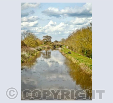Along The Taunton Bridgwater Canal