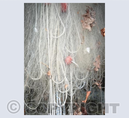 A Catch Of Autumn Leaves