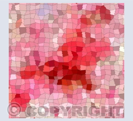 Rhapsody In Red