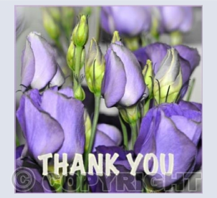 Purple Bouquet
