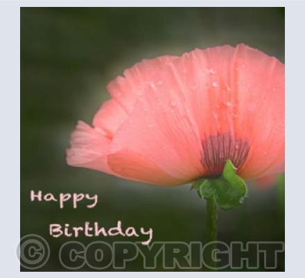 All Things Grow With Love