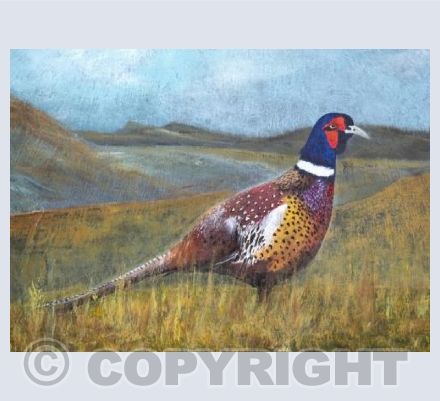 Fresh October Brings The Pheasant...