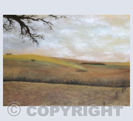 Rolling Hills