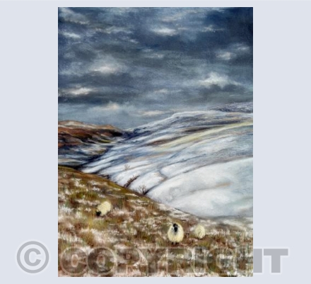 Grazing In The Dales