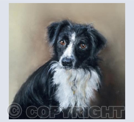 I Am Your Best Friend