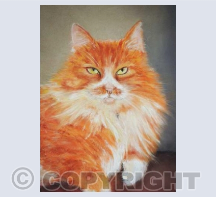 Garfield of Castle Cary