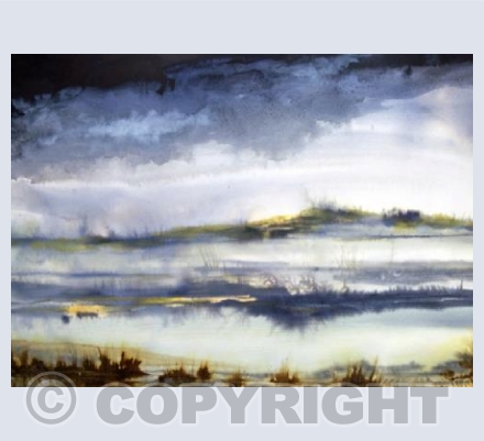 Wetlands