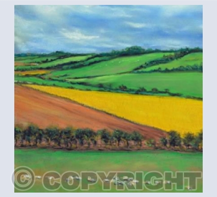 Summer In The West Country