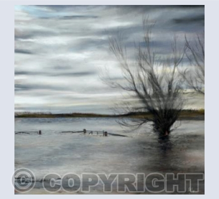 Flooded