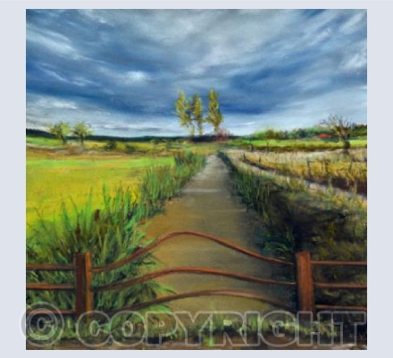 In The Somerset Levels