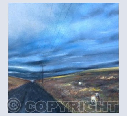 Evening On Dartmoor