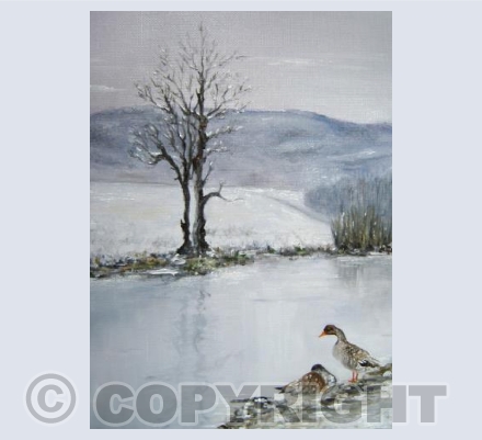 Winter Evening