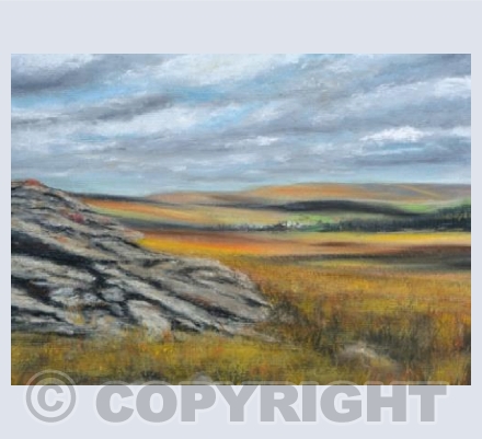 Colourful Dartmoor