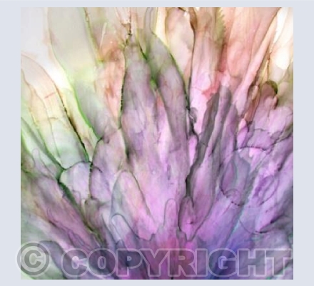Rainbow Petals