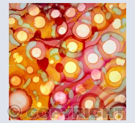 Colours Rock