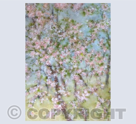 A Myriad Of Blossoms
