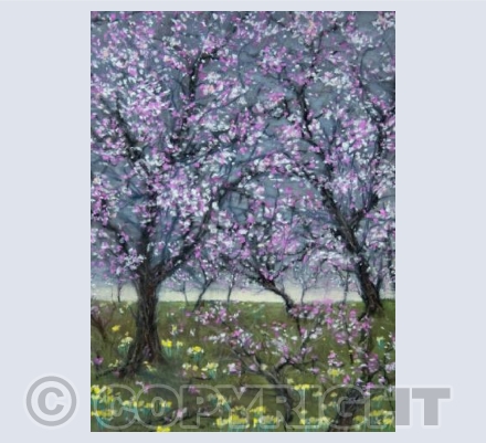 Daffodils And Cherry Blossoms