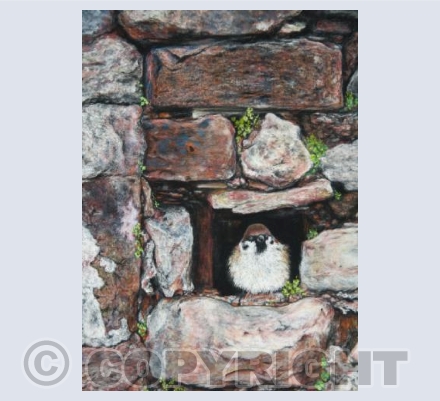 Watching The World Pass by