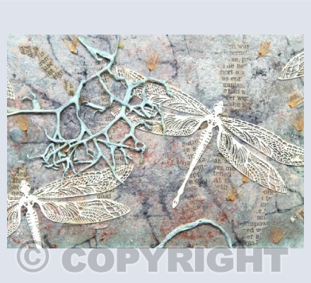 The Dance of the Dragonflies
